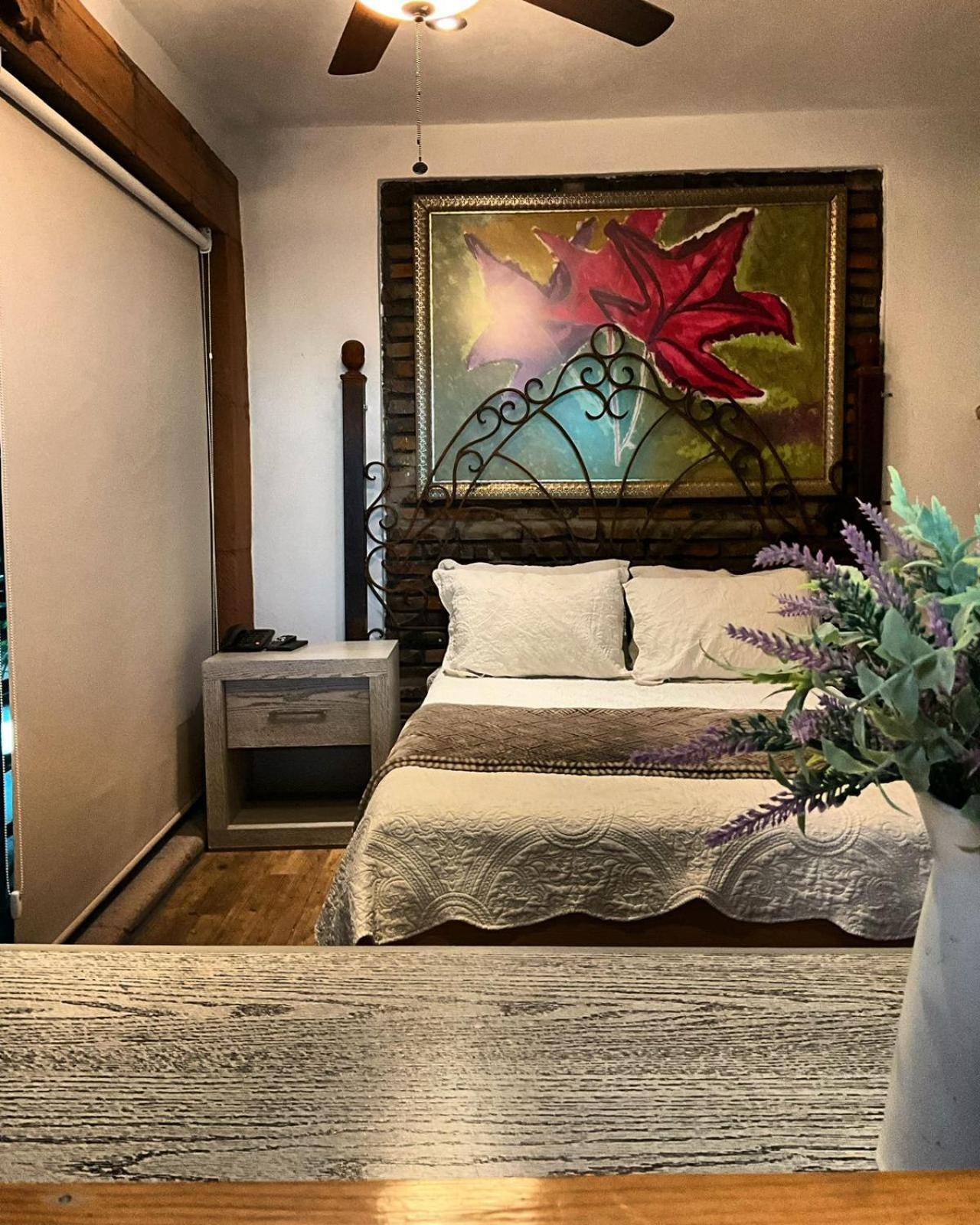 克雷塔罗 Casa Carmona 33酒店 外观 照片